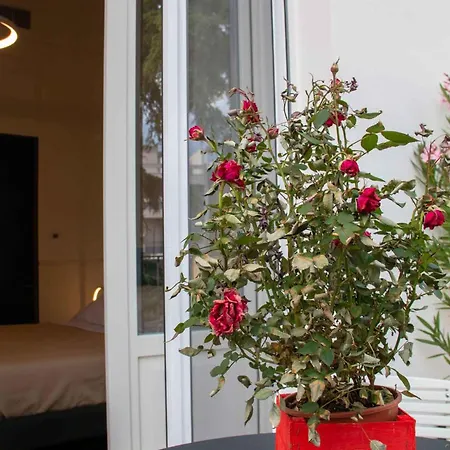Gæstehus Mari Luxury And Bari